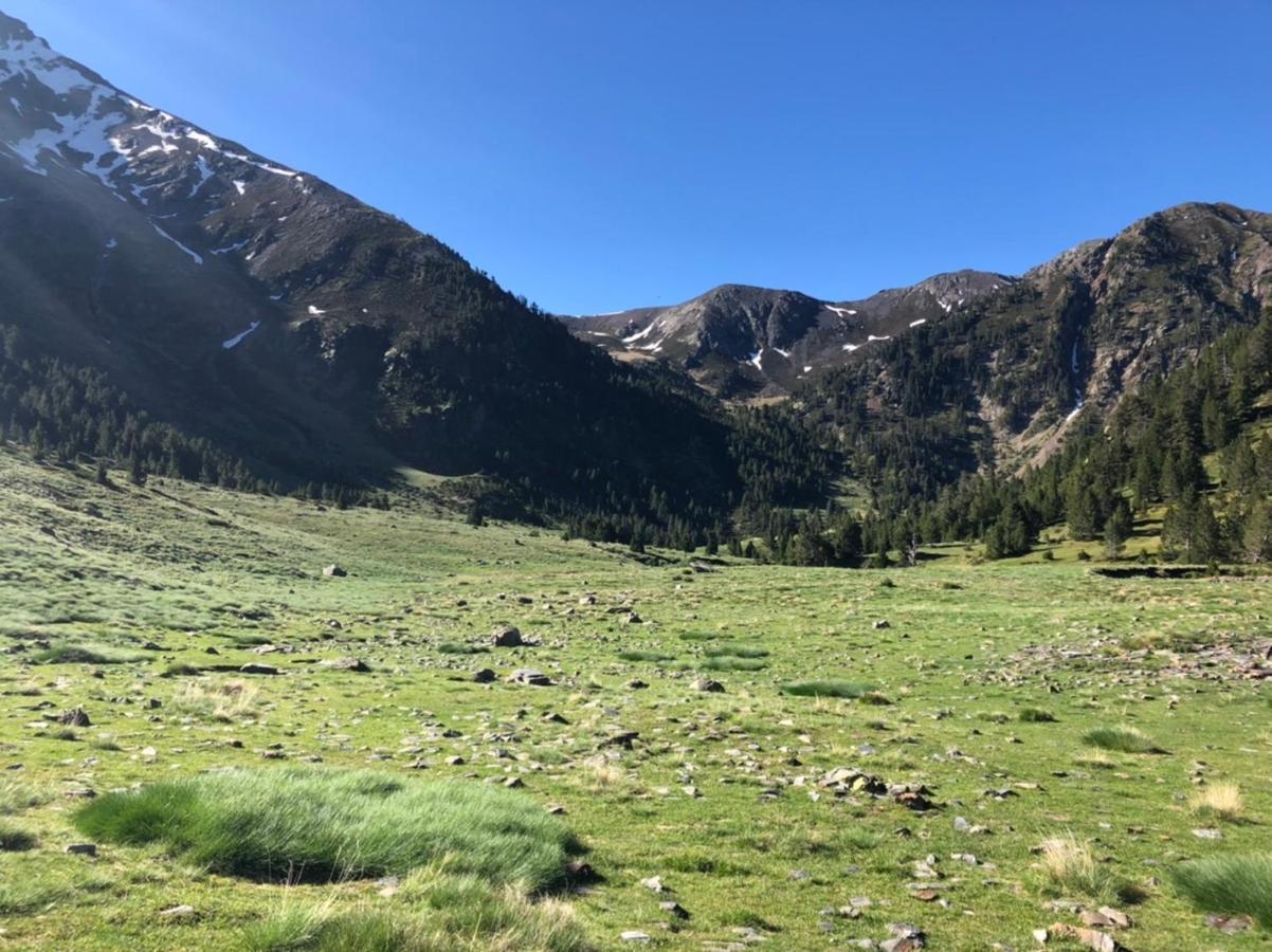 Hostal Pirineos Meliz Bielsa Exteriör bild